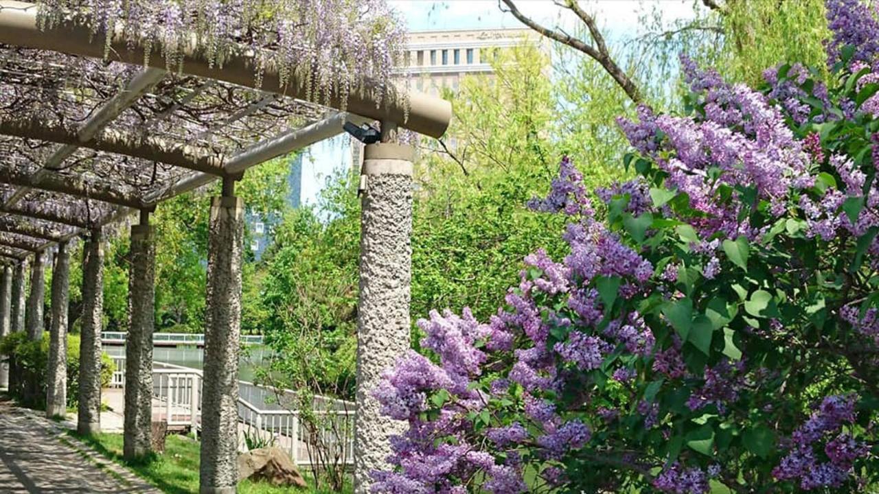 Hotel Lifort Sapporo Zewnętrze zdjęcie